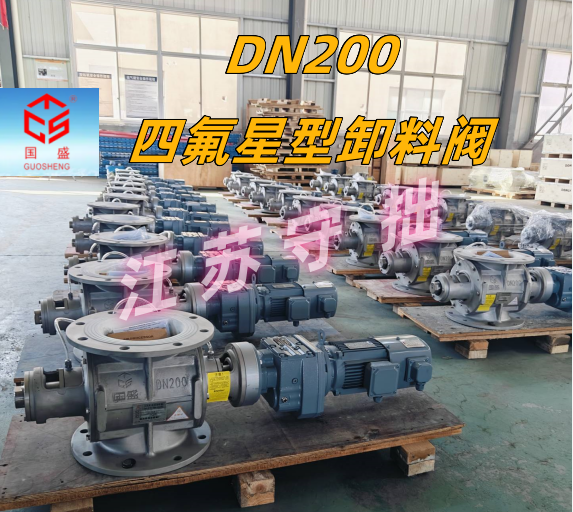 DN200-四氟-江蘇守拙